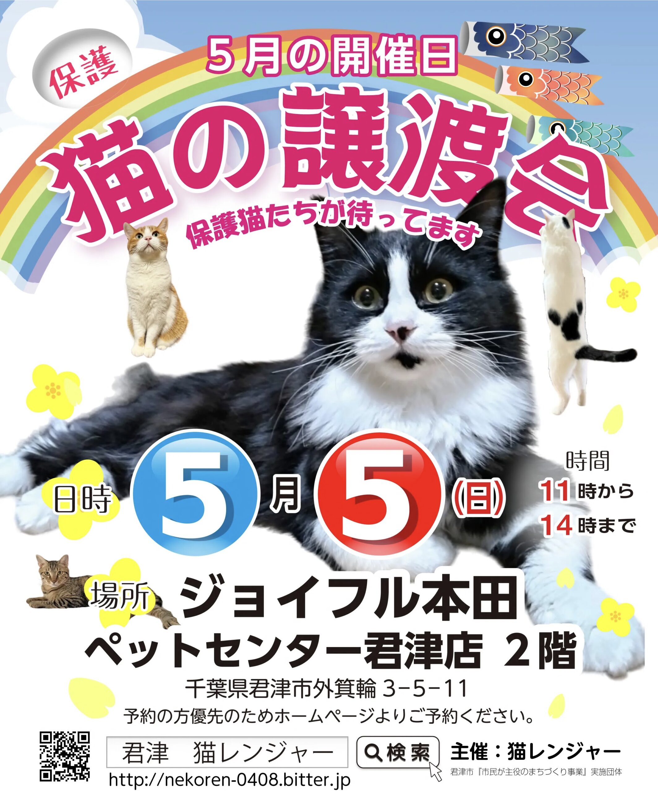 【君津市】猫の譲渡会
