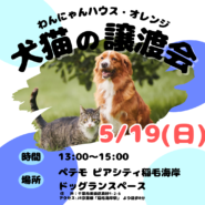 わんにゃんハウス・オレンジ★犬猫譲渡会