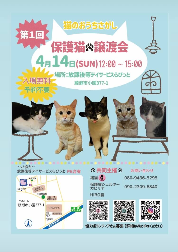 保護猫譲渡会