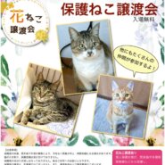 花ねこ譲渡会