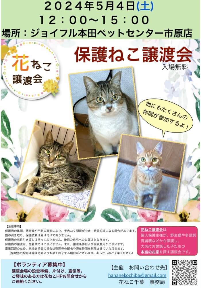 花ねこ譲渡会