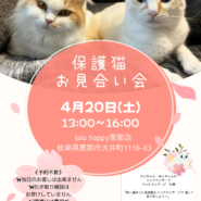 保護猫お見合い会