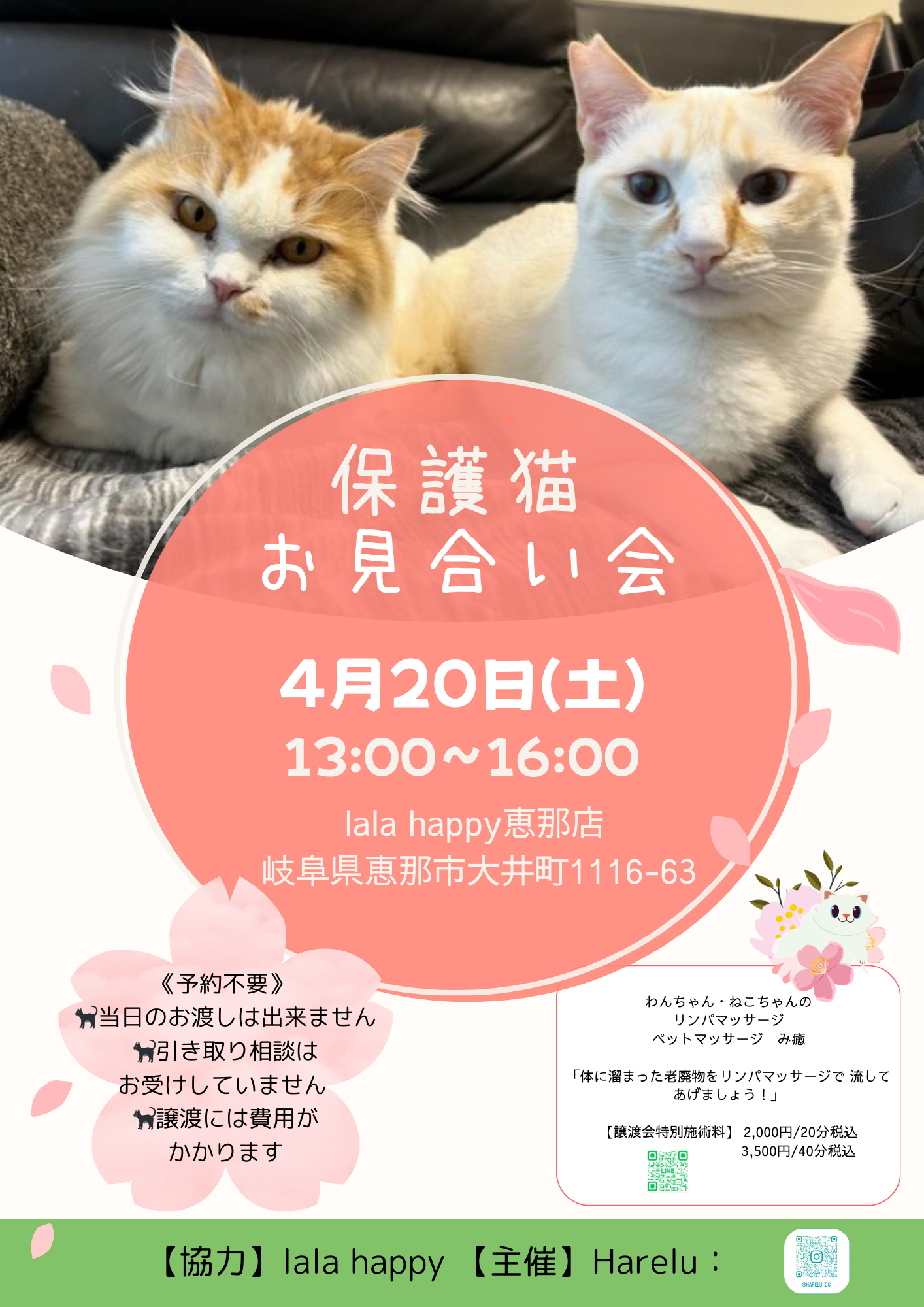 保護猫お見合い会