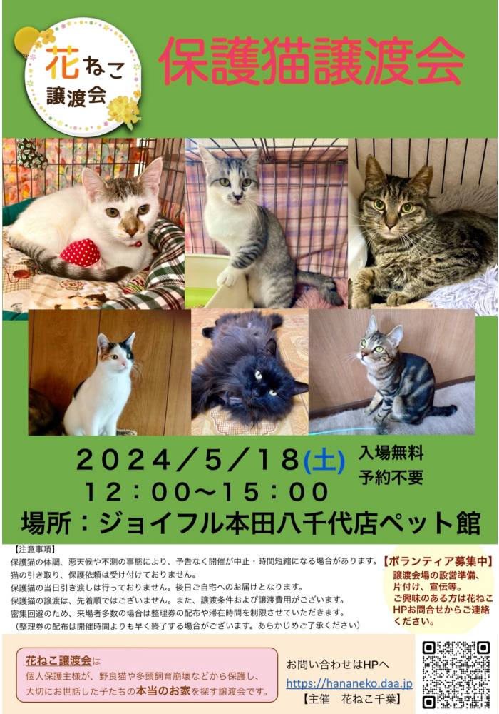 花ねこ譲渡会