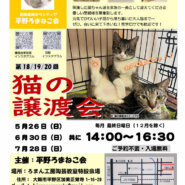 第19回 平野ろまねこ譲渡会