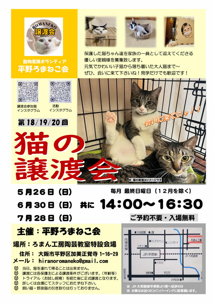 第19回 平野ろまねこ譲渡会