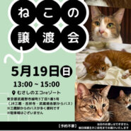 むさしの地域猫の会　譲渡会