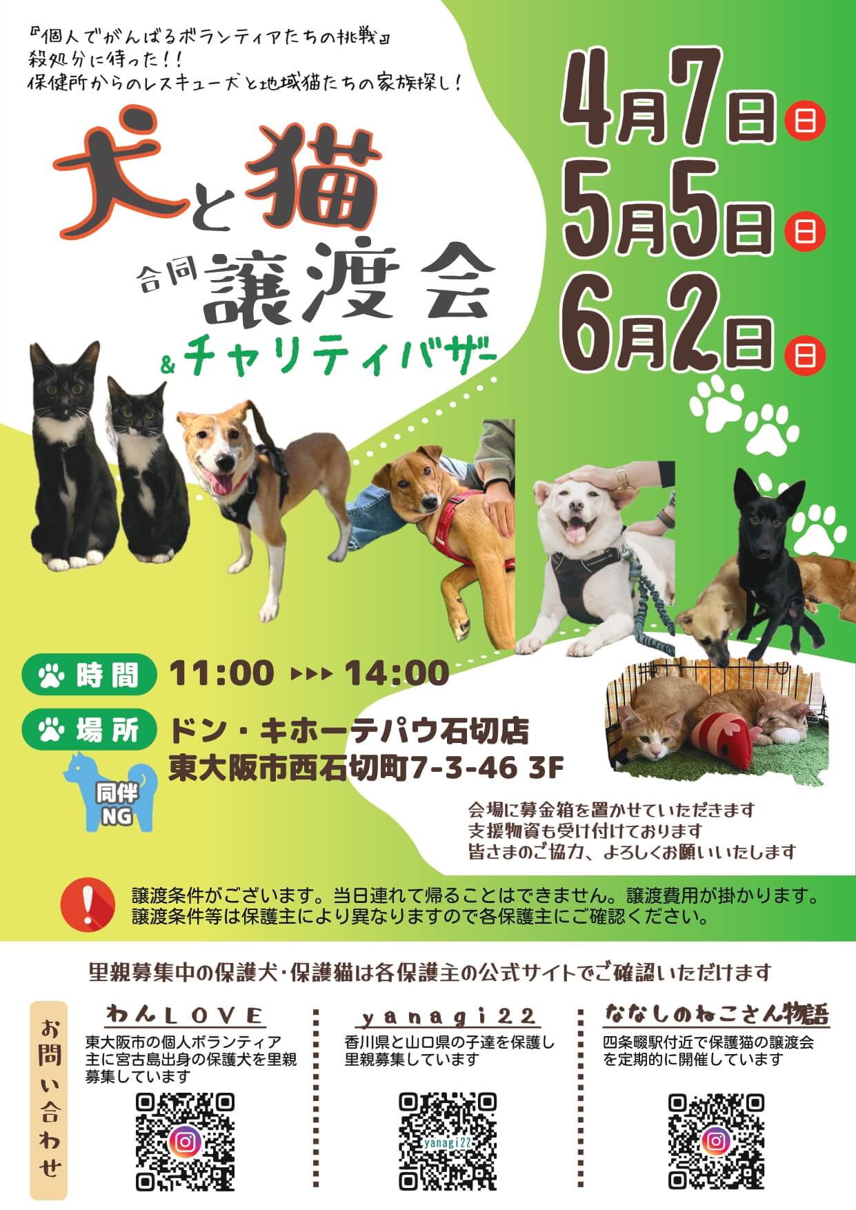 犬と猫の譲渡会