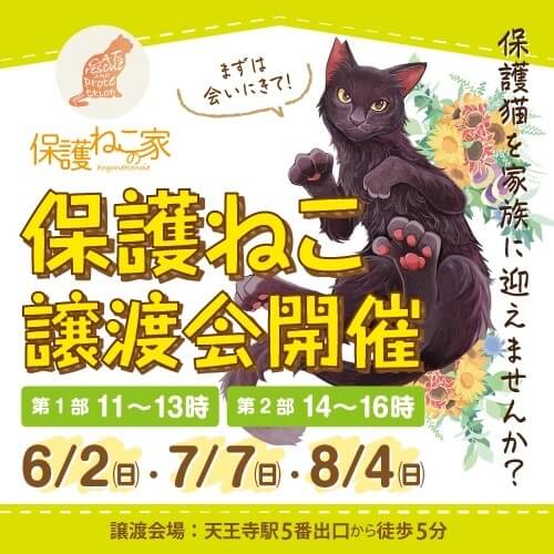 保護ねこの家譲渡会 in 天王寺