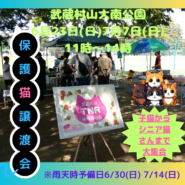 保護猫譲渡会in大南公園
