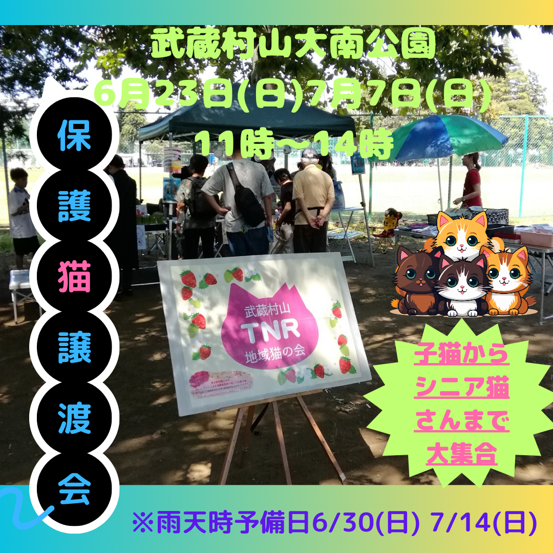 保護猫譲渡会in大南公園