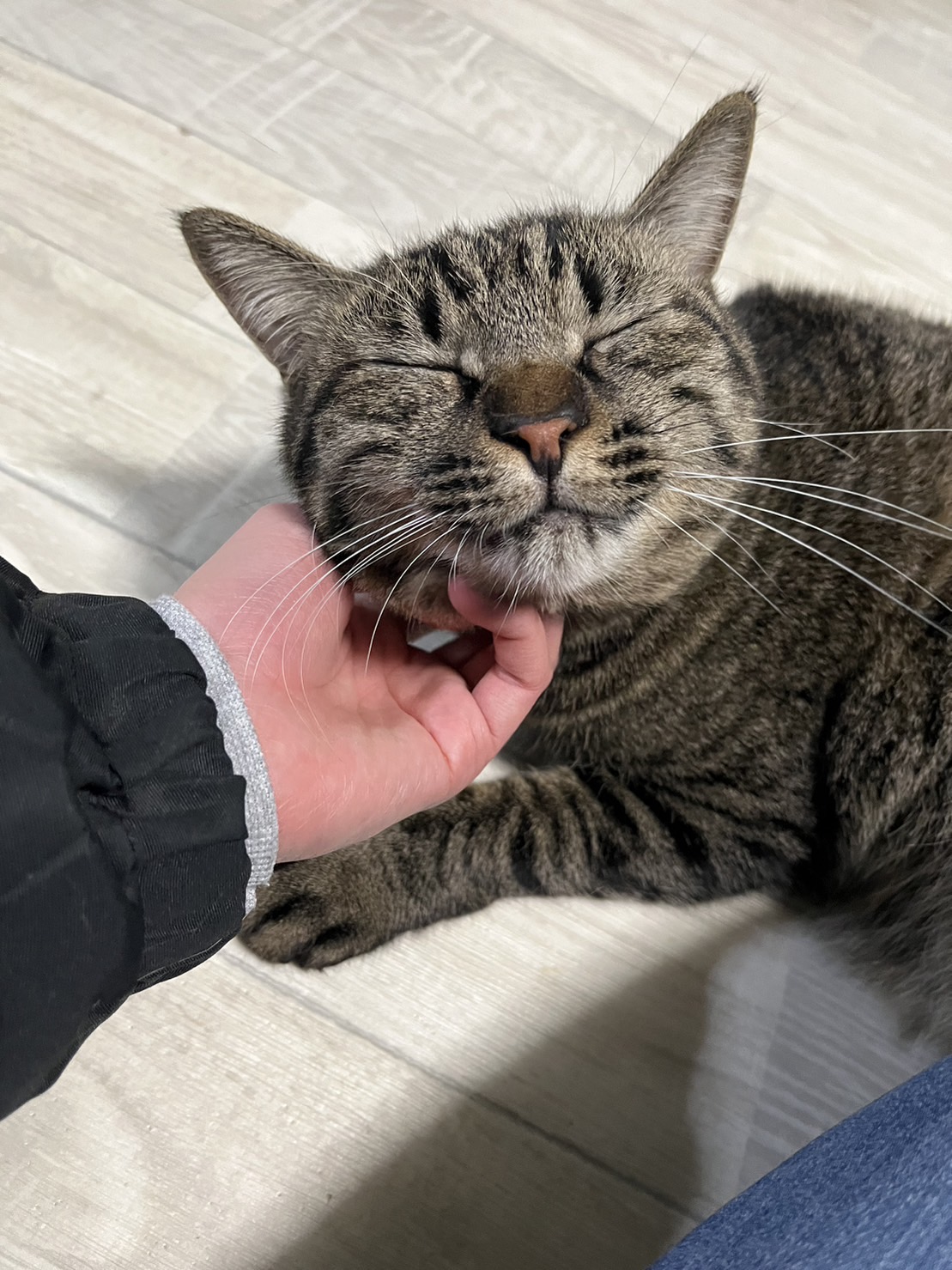 ナデナデ大好き【クリスくん】