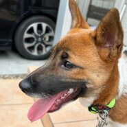 姉妹で優しい家族待ってます