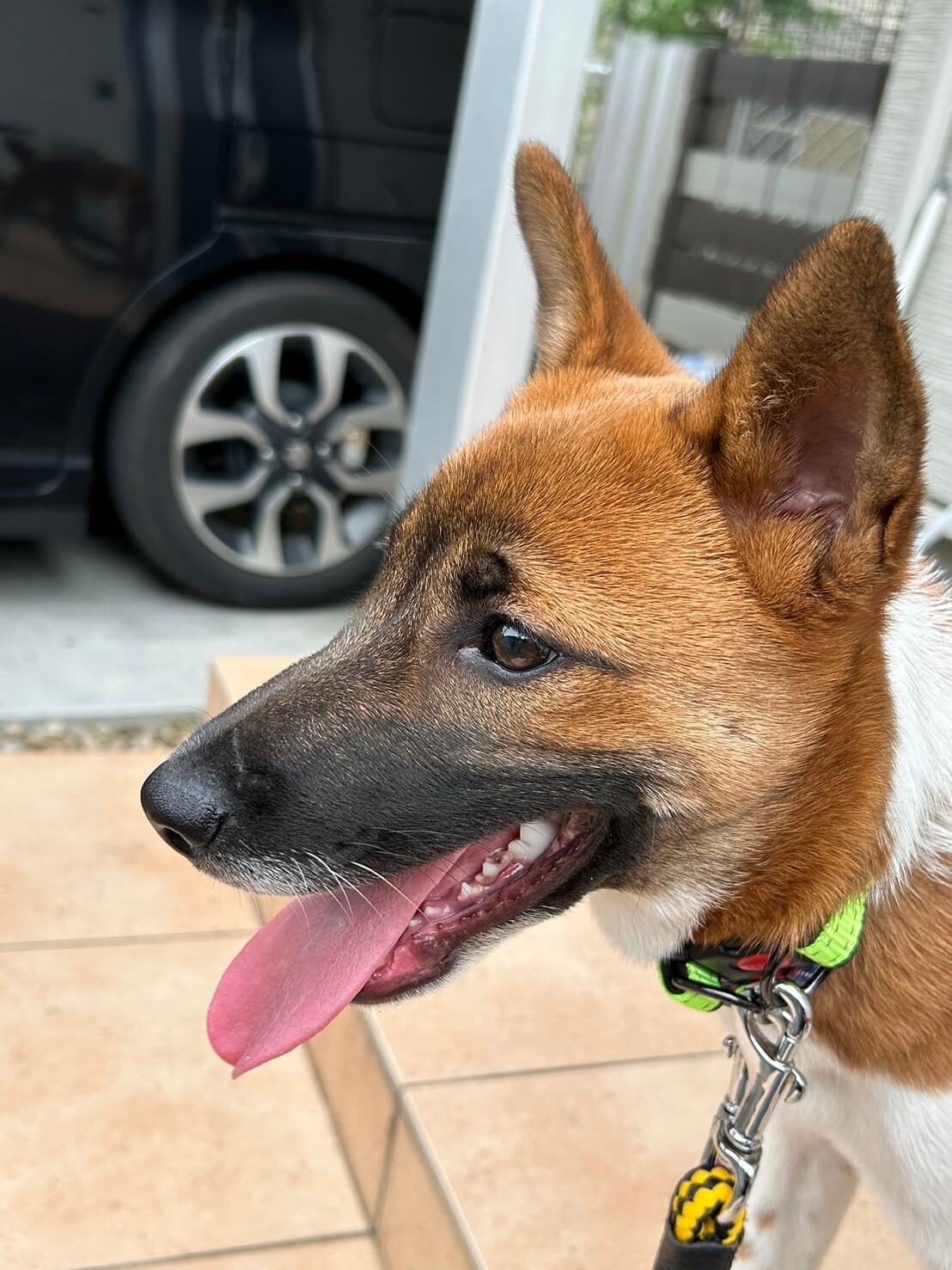 姉妹で優しい家族待ってます