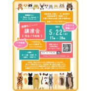 ★平日夕方★ネコトクラッセ譲渡会