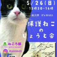 「保護ねこの譲渡会」