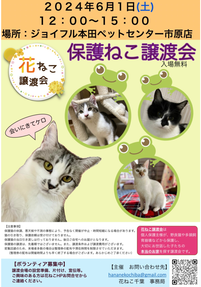 花ねこ譲渡会