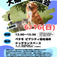 わんにゃんハウス・オレンジ★犬猫譲渡会
