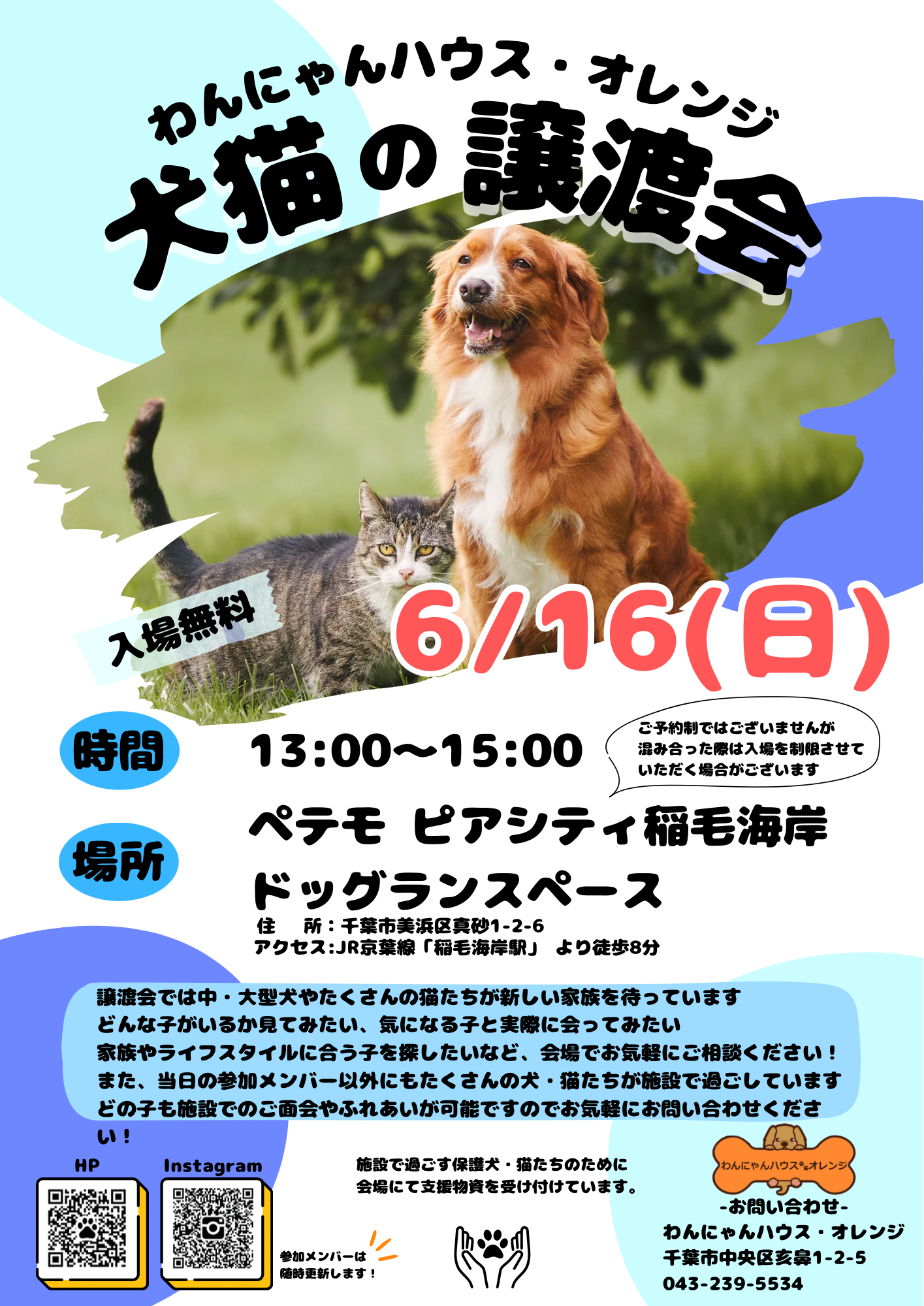 わんにゃんハウス・オレンジ★犬猫譲渡会