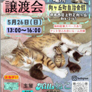 保護猫とふれ合える譲渡方