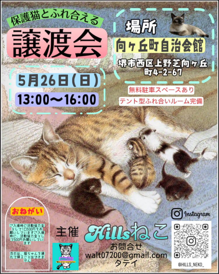 保護猫とふれ合える譲渡方