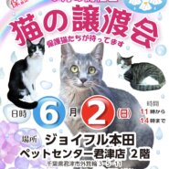 保護猫の譲渡会