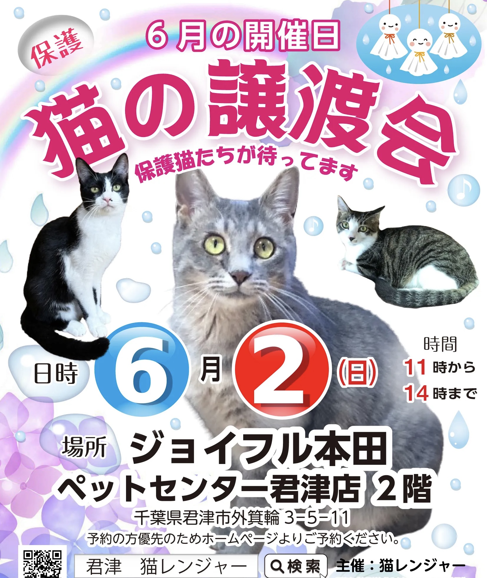 保護猫の譲渡会