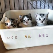 可愛くてゴメン♡兄妹or母子ペアで