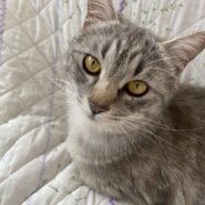 甘えん坊の女の子