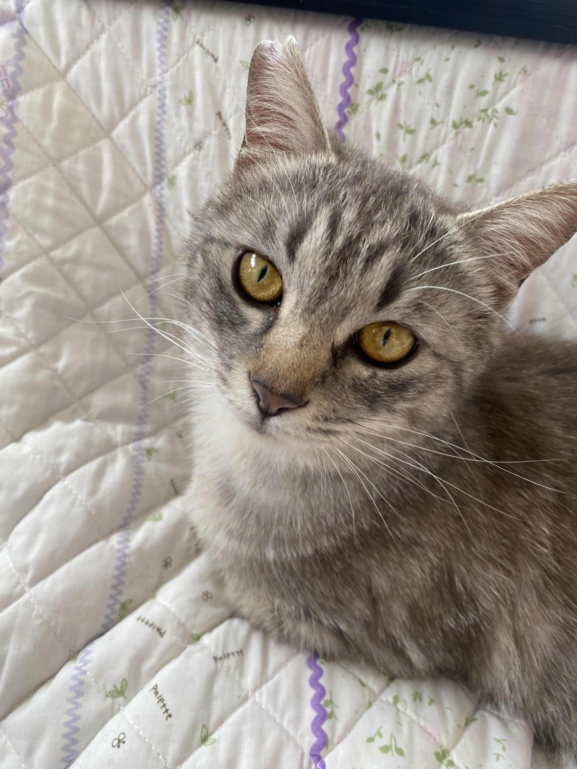 甘えん坊の女の子