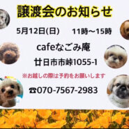 譲渡会開催