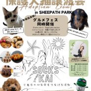 保護犬猫譲渡会×グルメフェス