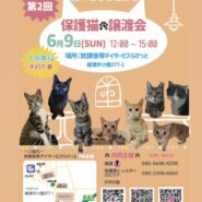 保護猫譲渡会