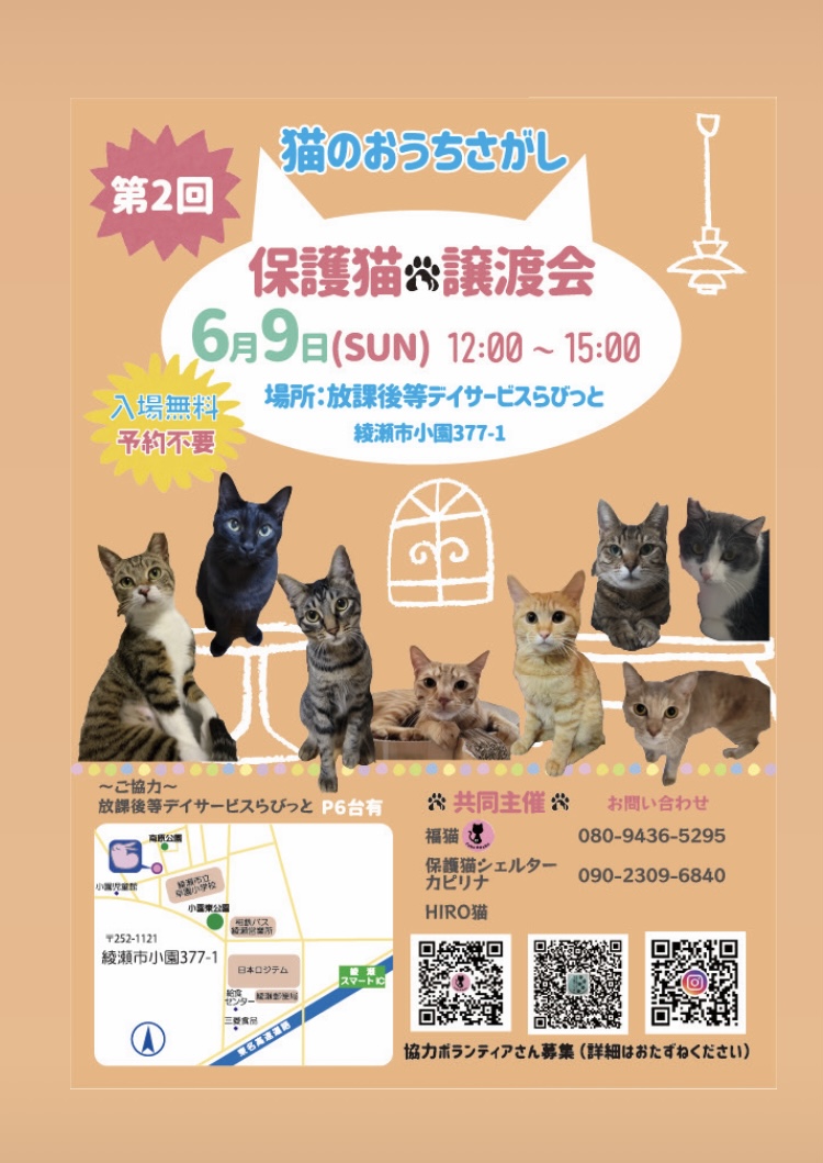 保護猫譲渡会