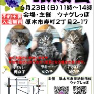 ツナグしっぽde譲渡会