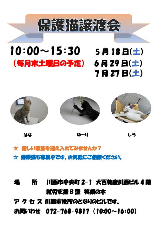 保護猫譲渡会