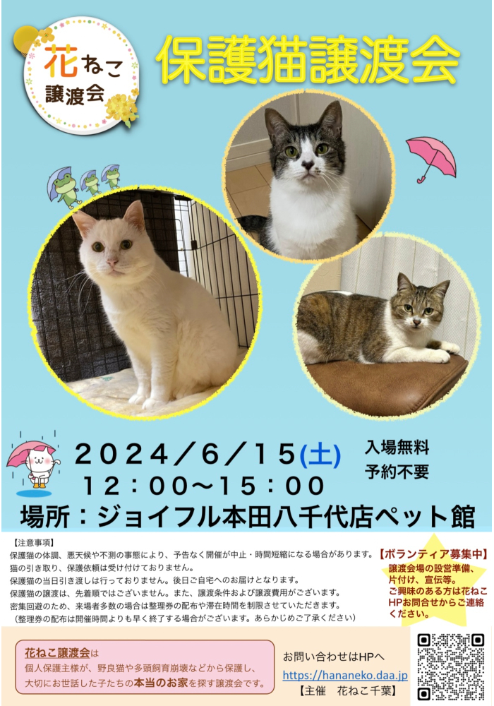 花ねこ譲渡会