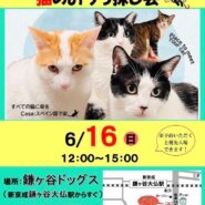 傘ねこ・猫のおうち探し会(＠鎌ヶ谷)