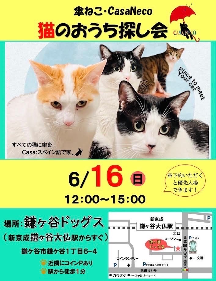 傘ねこ・猫のおうち探し会(＠鎌ヶ谷)