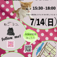 保護猫カフェねこ🐾ネコ 譲渡会