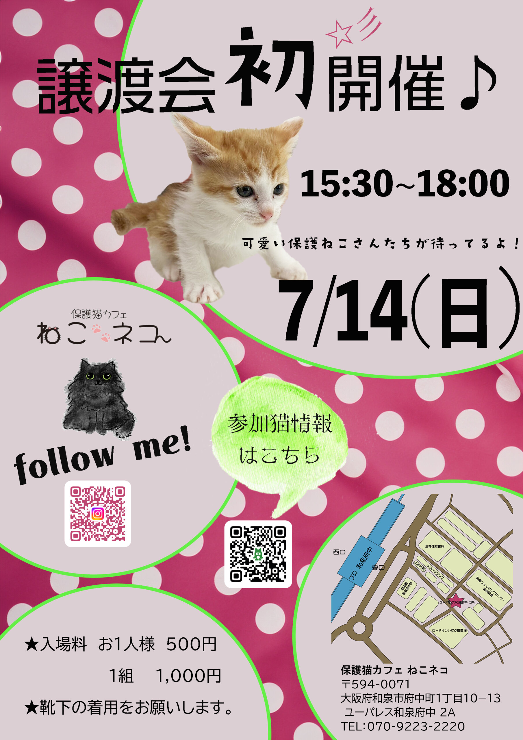 保護猫カフェねこ🐾ネコ 譲渡会