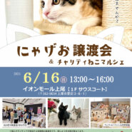 【上尾市】6/16(日)にゃげお譲渡会