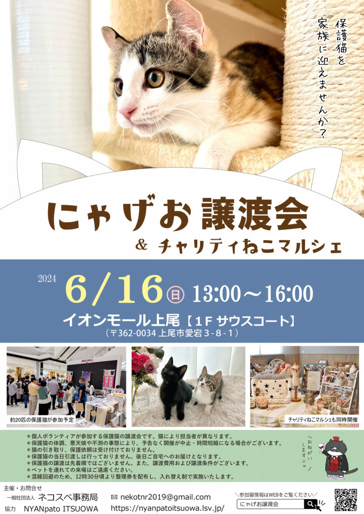 【上尾市】6/16(日)にゃげお譲渡会