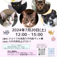 花ねこ譲渡会