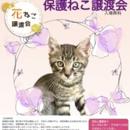 花ねこ譲渡会