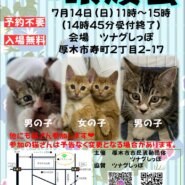 ツナグしっぽde譲渡会