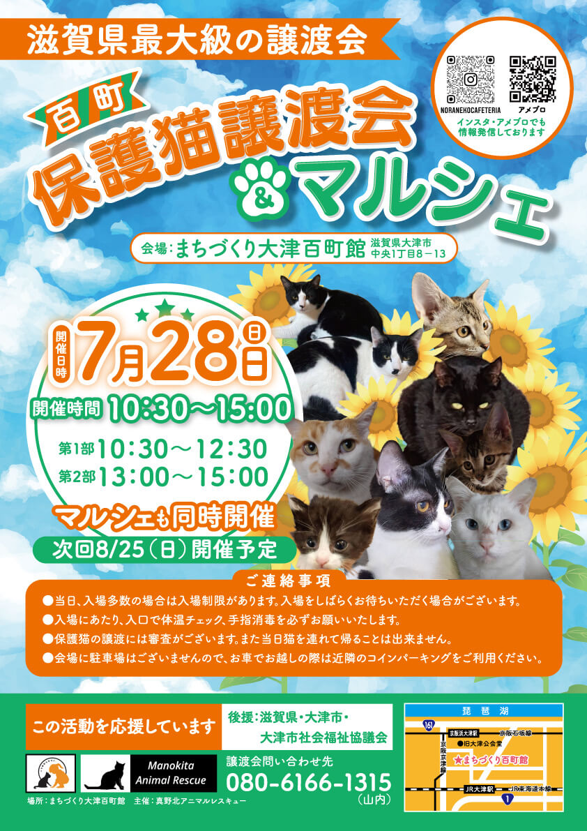 百町保護猫譲渡会＆マルシェ