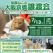 大阪京橋保護ねこの譲渡会