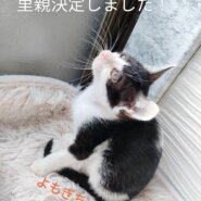 個性豊かな5兄妹❤