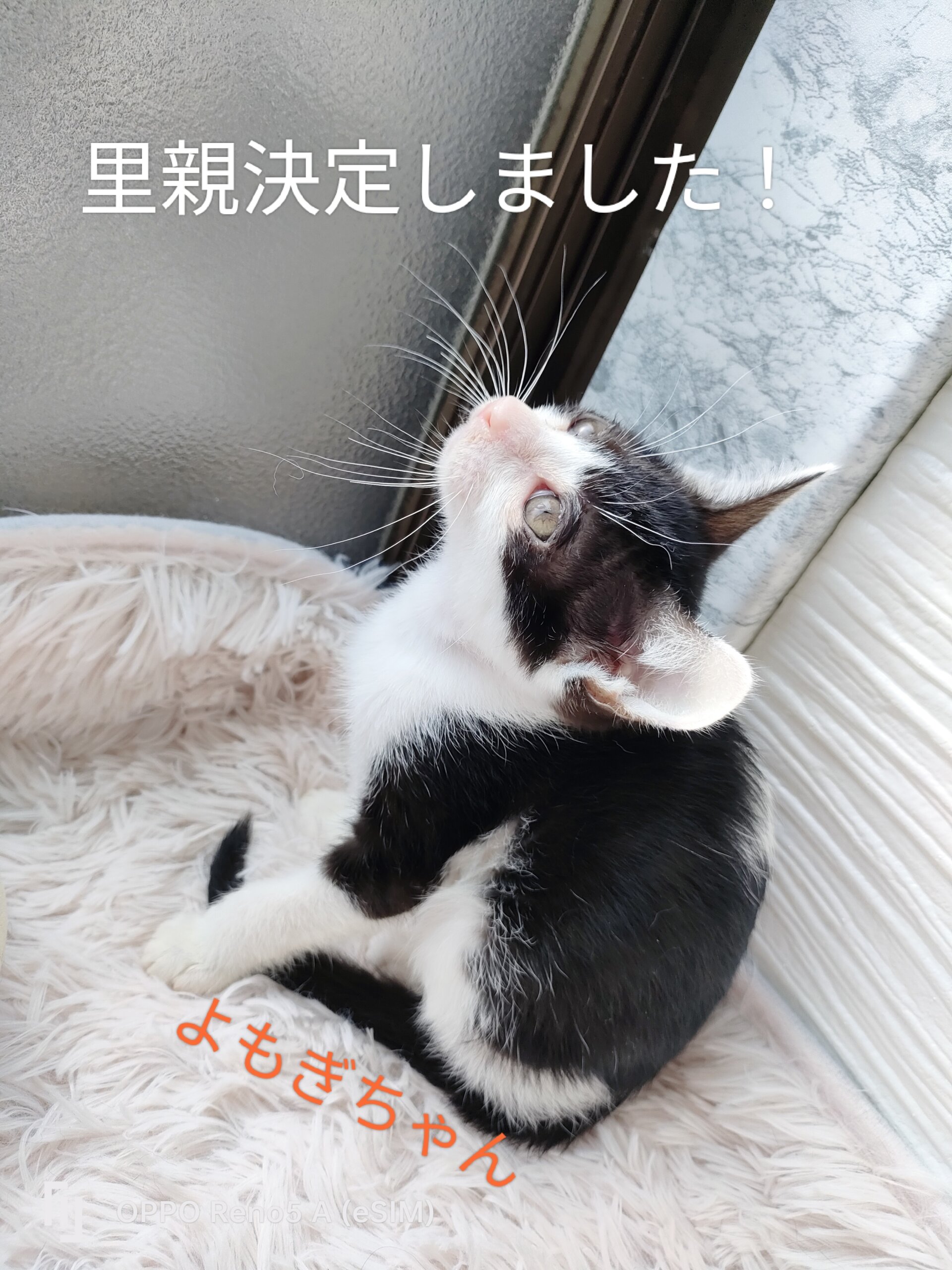 個性豊かな5兄妹❤